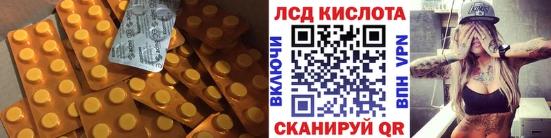 закладка  Каргат  LSD-25 экстази ecstasy 