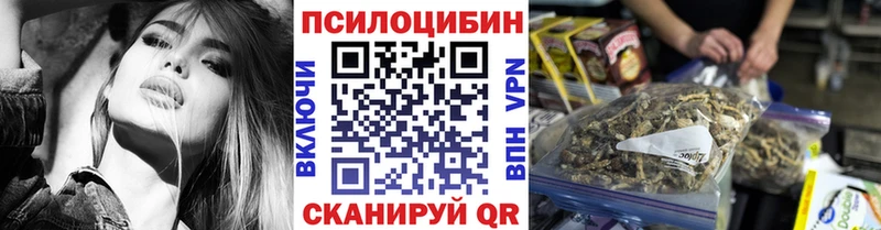 shop какой сайт  где купить наркоту  Каргат  Галлюциногенные грибы Cubensis 